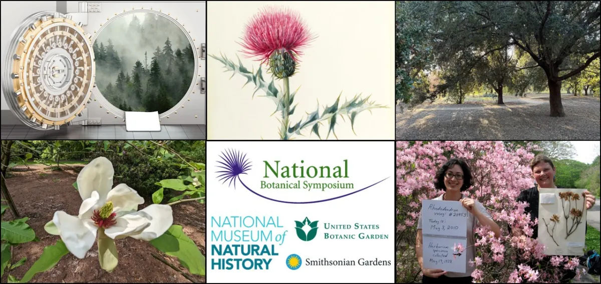 Banner for the 2025 National  Botanical Symposium