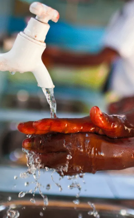 a pair of hands under a water spickett with water flowing and washing