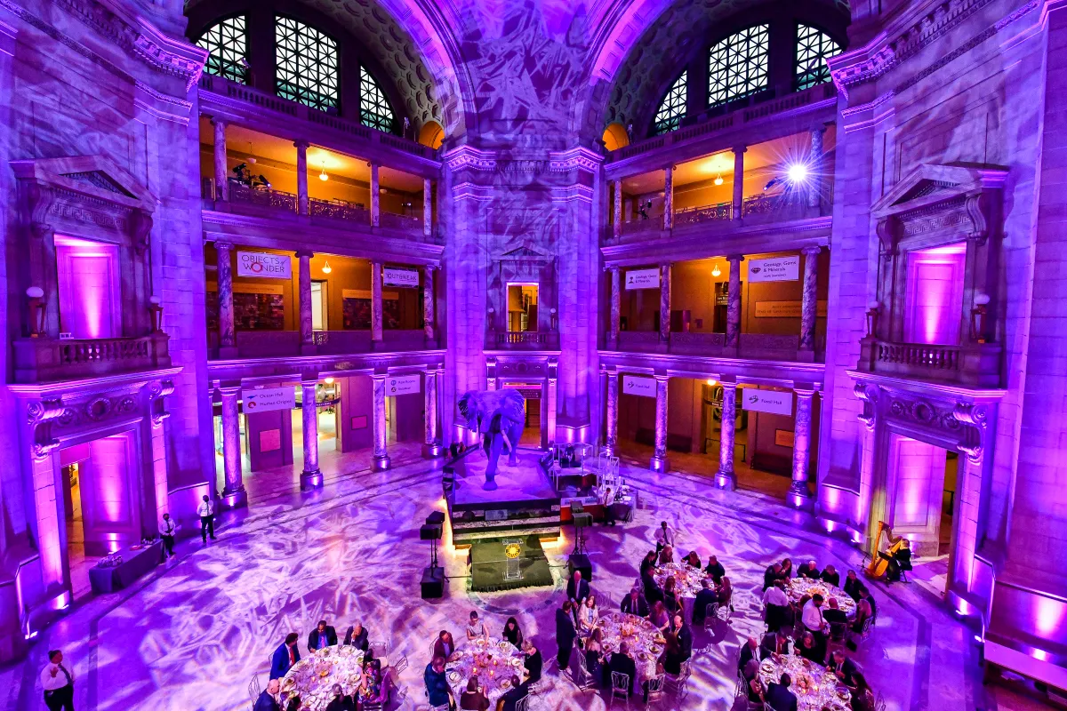 Guests are attending a formal dinner in the Rotunda A harpist is playing his harp. (JCB 119)