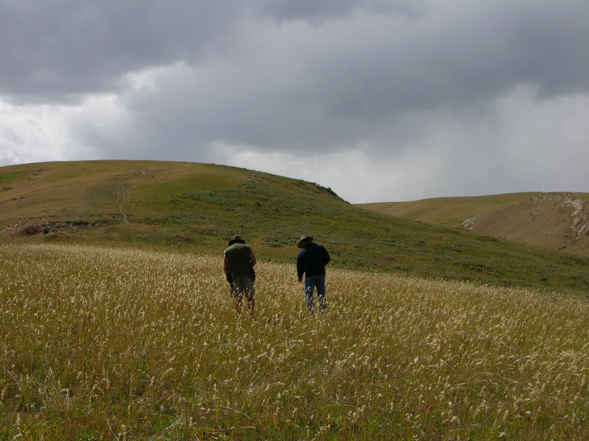 Steppe of Kyrgyz Republic