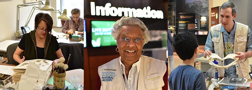 A woman working at a desk, a woman in front of the Information Desk, and a man showing a fossil jawbone to a visitor.